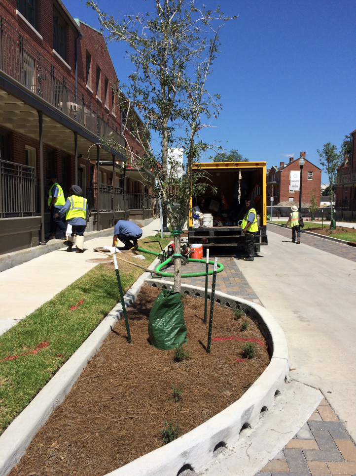 Iberville Redevelopment Durr Heavy Construction